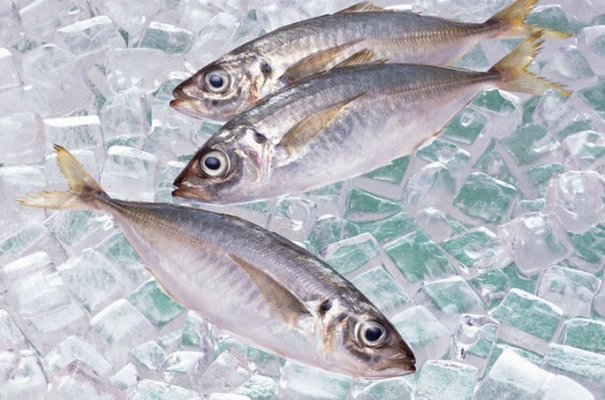 青島冷凍魚(yú)進(jìn)口清關(guān)實(shí)用知識(shí)，建議看看_副本.jpg
